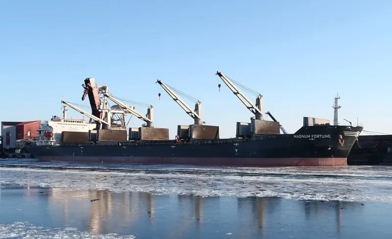 MAGNUM FORTUNE Bulk Carrier IMO 9488970 photo 10