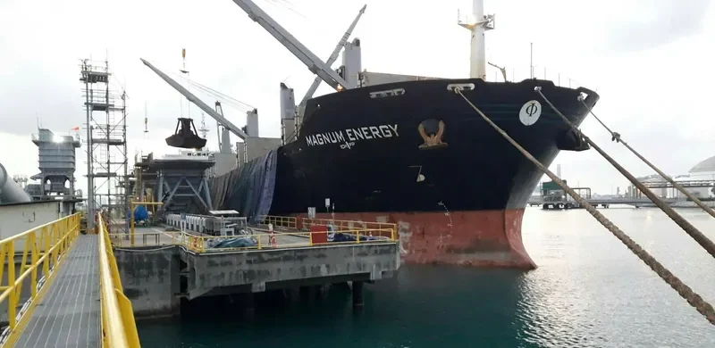 MAGNUM ENERGY Bulk Carrier IMO 9488982