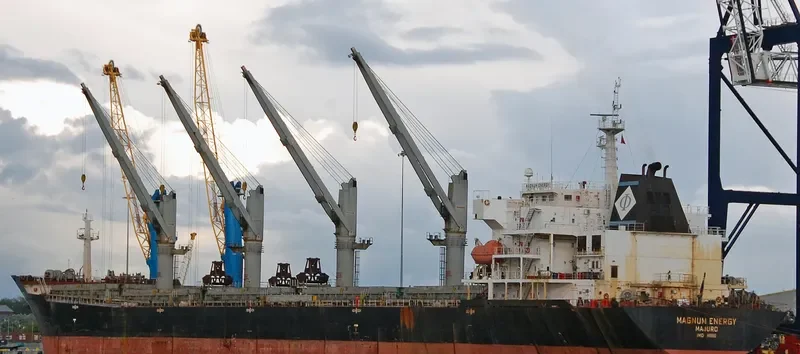 MAGNUM ENERGY Bulk Carrier IMO 9488982 photo 2