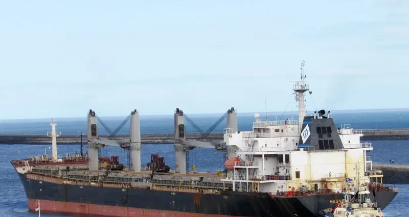 MAGNUM ENERGY Bulk Carrier IMO 9488982 photo 4