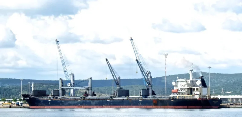 MAGNUM ENERGY Bulk Carrier IMO 9488982 photo 5
