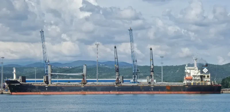 MAGNUM ENERGY Bulk Carrier IMO 9488982 photo 6