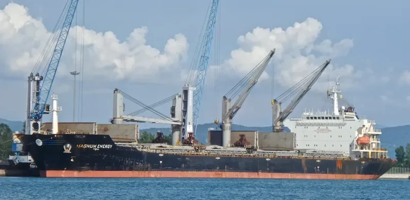 MAGNUM ENERGY Bulk Carrier IMO 9488982 photo 7