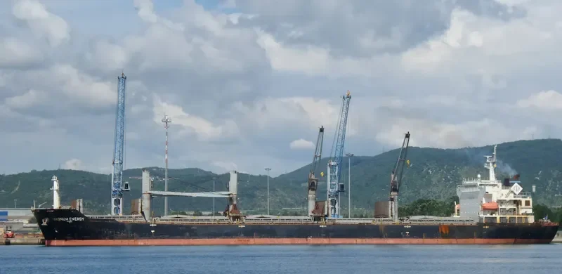 MAGNUM ENERGY Bulk Carrier IMO 9488982 photo 8
