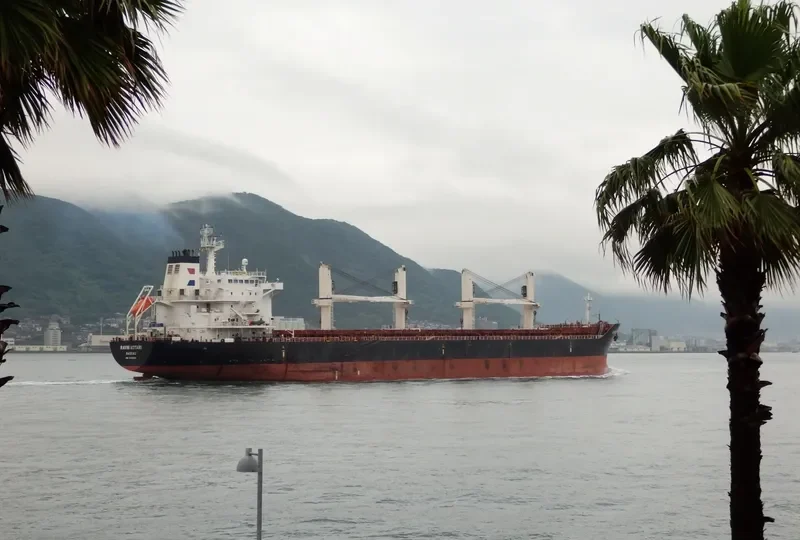 RAVNI KOTARI Bulk Carrier IMO 9489168 photo 3