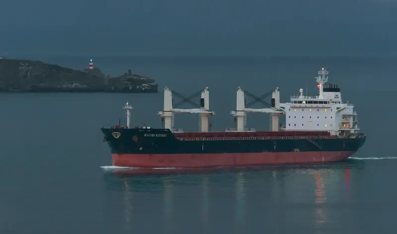 RAVNI KOTARI Bulk Carrier IMO 9489168 photo 7