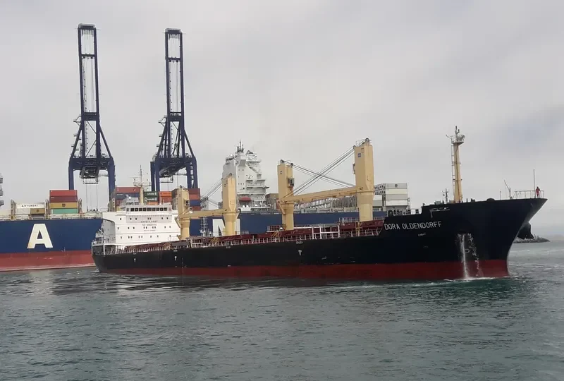 KESTREL S Bulk Carrier IMO 9489211