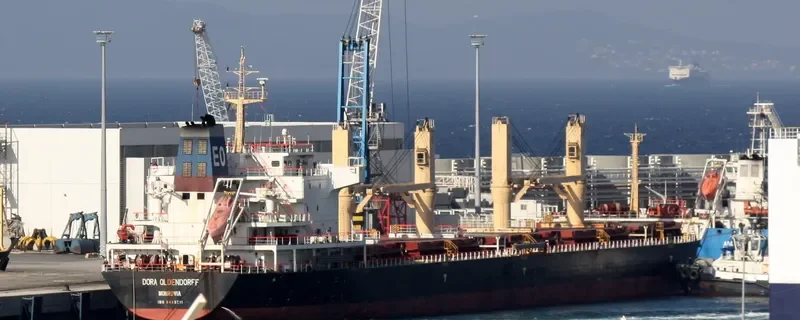 KESTREL S Bulk Carrier IMO 9489211 photo 4