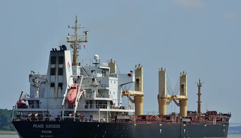 KESTREL S Bulk Carrier IMO 9489211 photo 5
