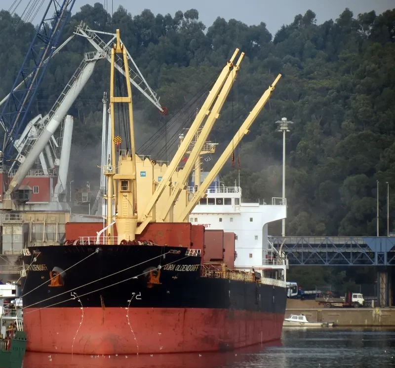 KESTREL S Bulk Carrier IMO 9489211 photo 6