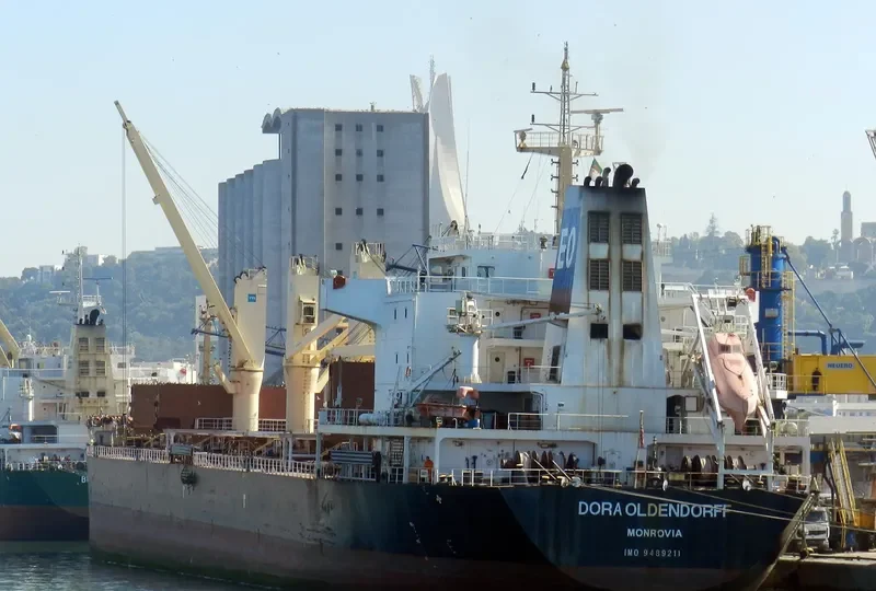 KESTREL S Bulk Carrier IMO 9489211 photo 9