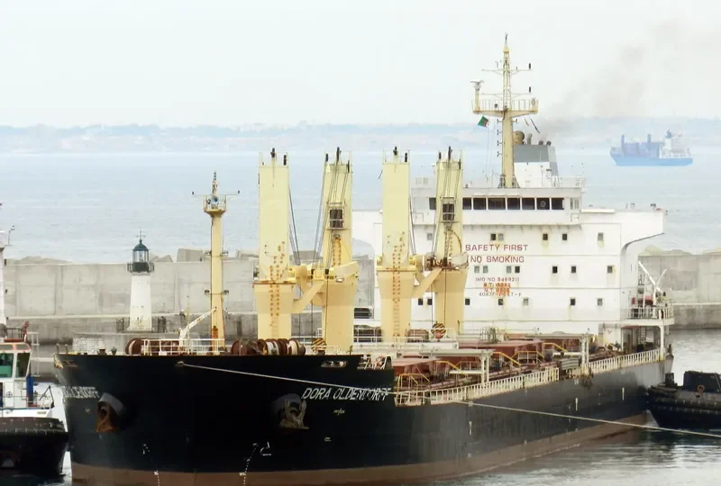 KESTREL S Bulk Carrier IMO 9489211 photo 10