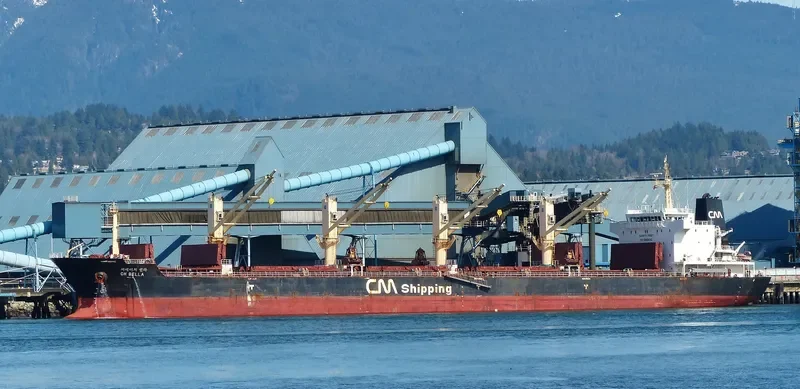 CH BELLA Bulk Carrier IMO 9489235 photo 4