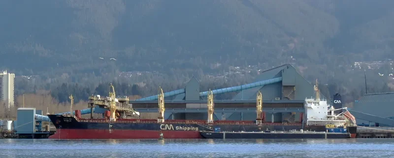 CH BELLA Bulk Carrier IMO 9489235 photo 5