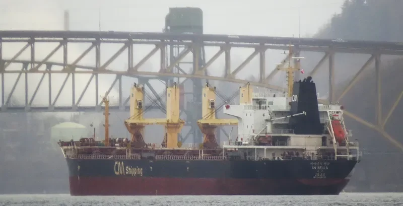 CH BELLA Bulk Carrier IMO 9489235 photo 6