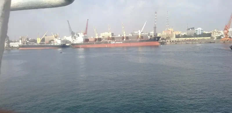 CH BELLA Bulk Carrier IMO 9489235 photo 7