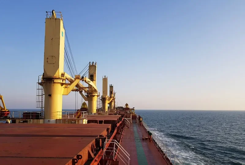 CH DORIS Bulk Carrier IMO 9489247