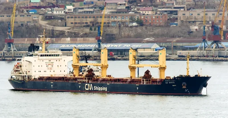 CH DORIS Bulk Carrier IMO 9489247 photo 3