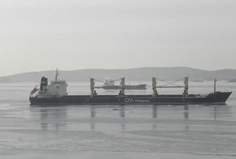 CH DORIS Bulk Carrier IMO 9489247 photo 4
