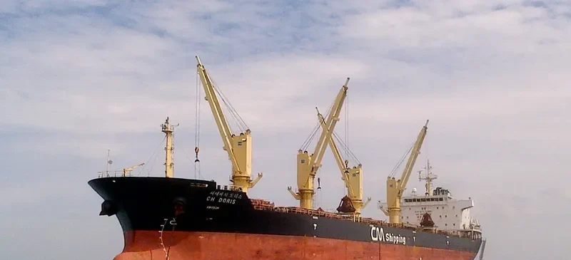 CH DORIS Bulk Carrier IMO 9489247 photo 5