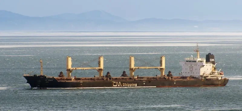 CH DORIS Bulk Carrier IMO 9489247 photo 6