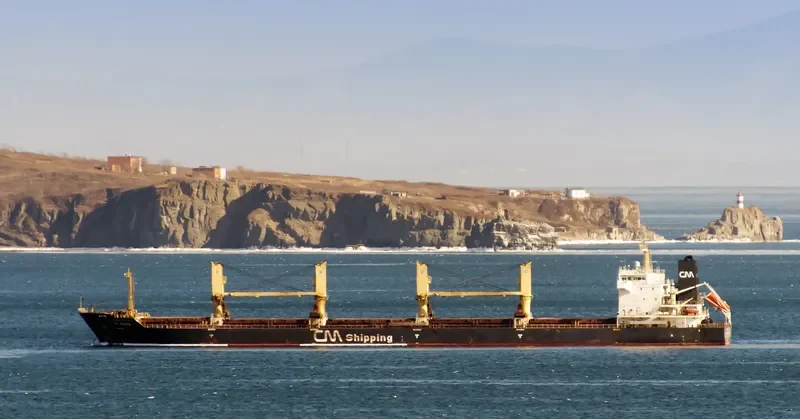 CH DORIS Bulk Carrier IMO 9489247 photo 7