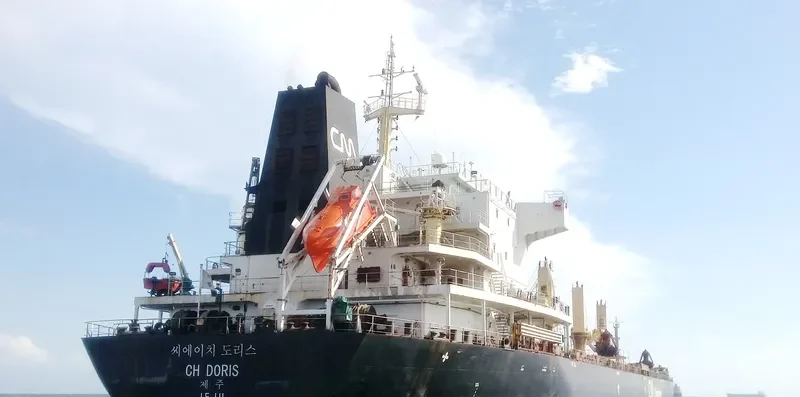 CH DORIS Bulk Carrier IMO 9489247 photo 8