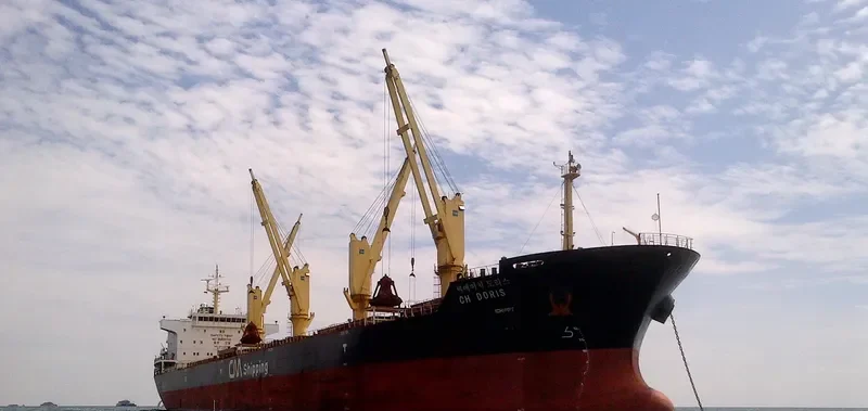 CH DORIS Bulk Carrier IMO 9489247 photo 9