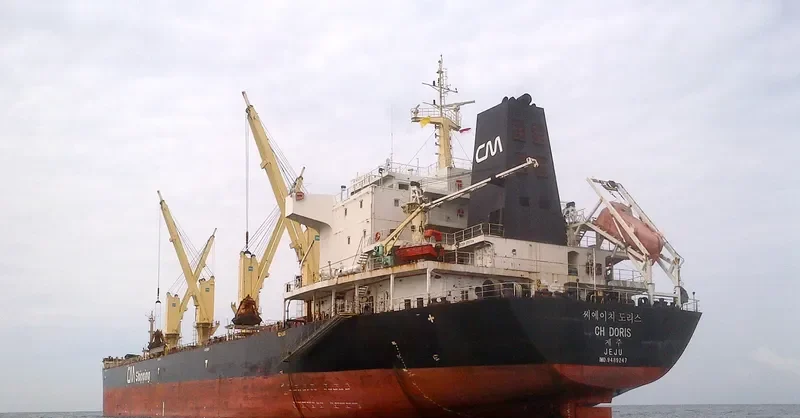 CH DORIS Bulk Carrier IMO 9489247 photo 10