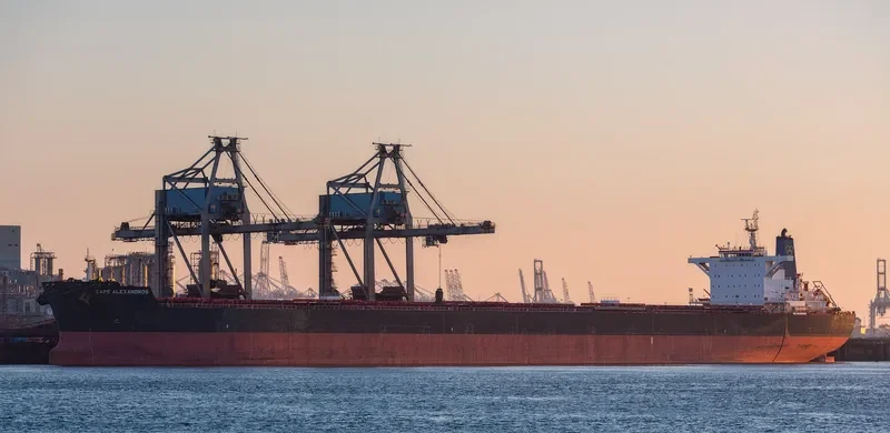 CAPE ALEXANDROS Bulk Carrier IMO 9489302 photo 3