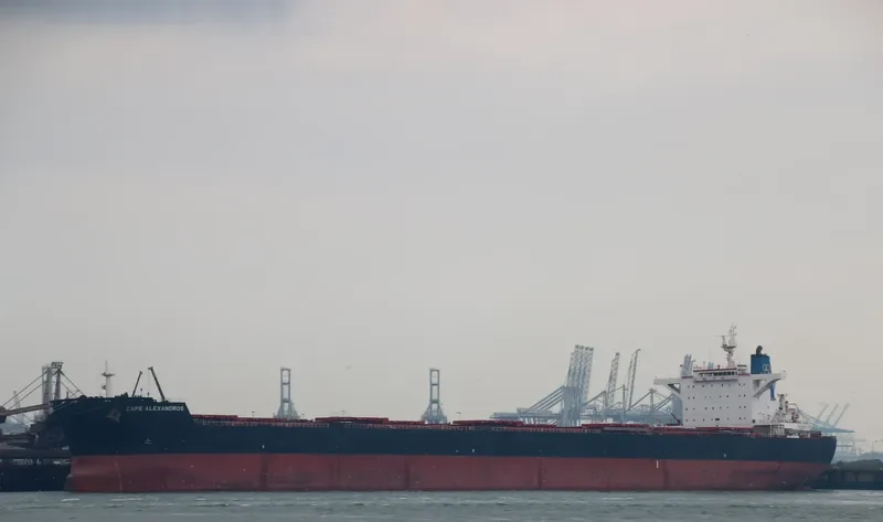 CAPE ALEXANDROS Bulk Carrier IMO 9489302 photo 6