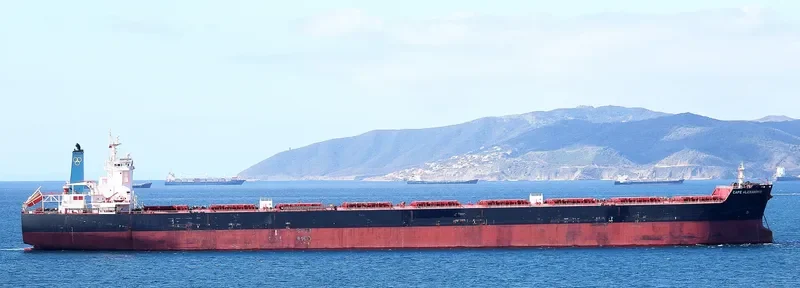 CAPE ALEXANDROS Bulk Carrier IMO 9489302 photo 8
