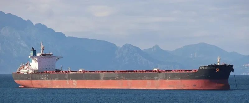 CAPE ALEXANDROS Bulk Carrier IMO 9489302 photo 9
