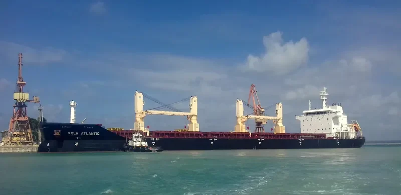 WL ATLANTIC Bulk Carrier IMO 9489417 photo 3