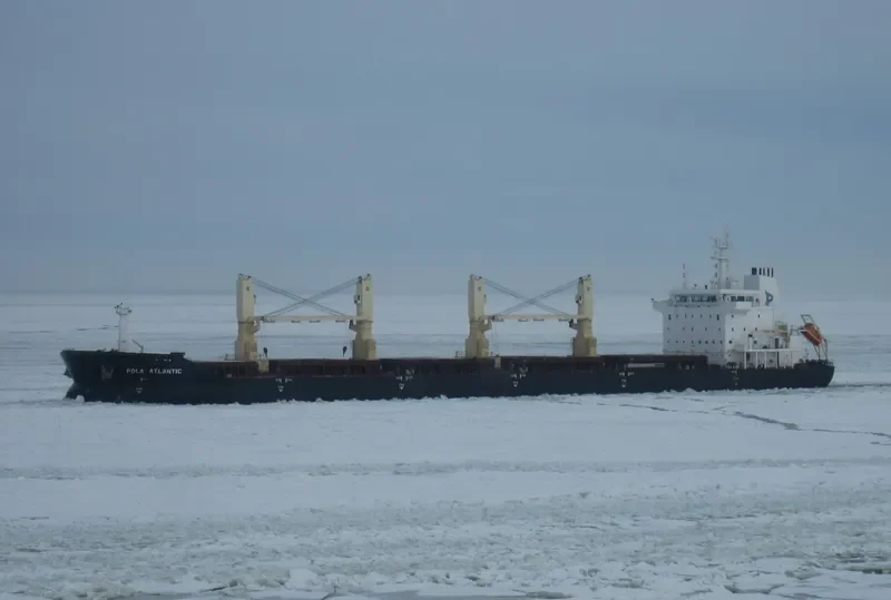 WL ATLANTIC Bulk Carrier IMO 9489417 photo 8