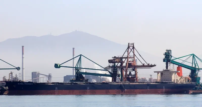 GLOBAL PROSPERITY Bulk Carrier IMO 9489508 photo 2