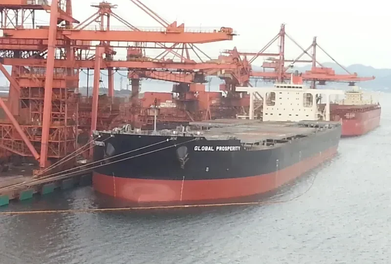 GLOBAL PROSPERITY Bulk Carrier IMO 9489508 photo 5