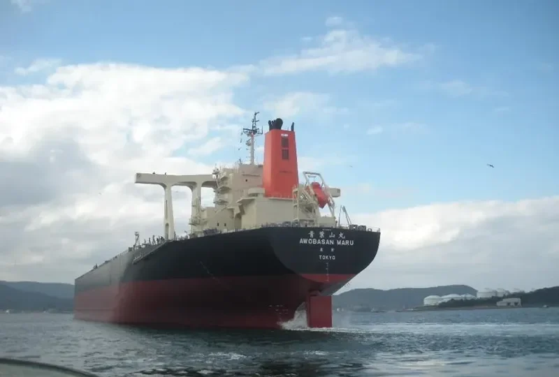 AWOBASAN MARU Bulk Carrier IMO 9489510 photo 5