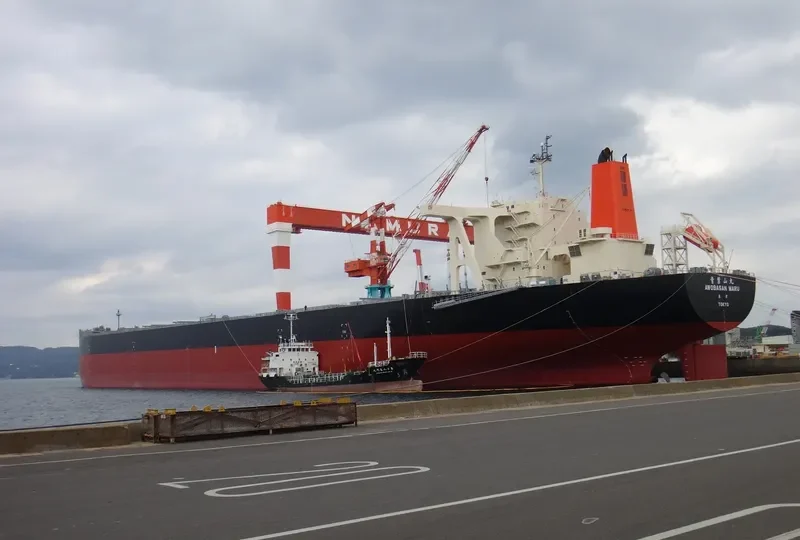 AWOBASAN MARU Bulk Carrier IMO 9489510 photo 6