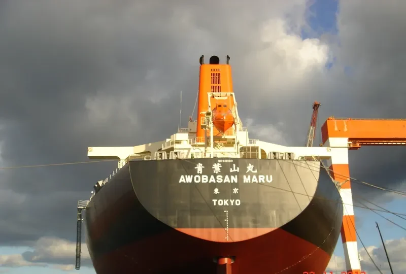 AWOBASAN MARU Bulk Carrier IMO 9489510 photo 8