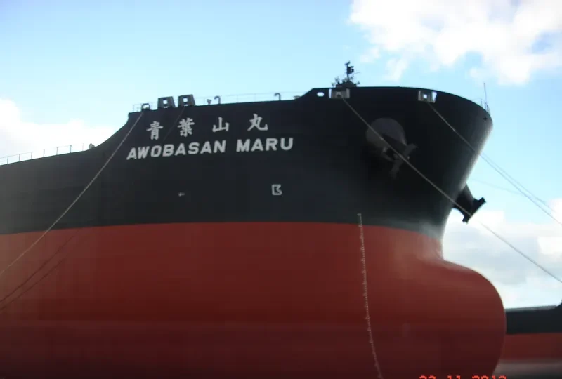 AWOBASAN MARU Bulk Carrier IMO 9489510 photo 9