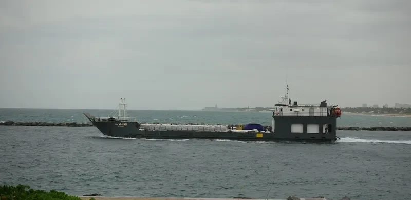 VI NAIS Ro-Ro IMO 9489675 photo 9