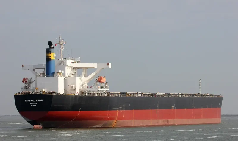 MINERAL HAIKU Bulk Carrier IMO 9489845