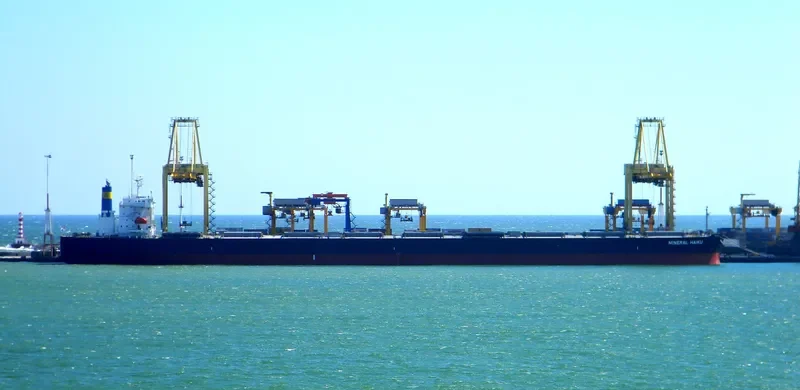 MINERAL HAIKU Bulk Carrier IMO 9489845 photo 7