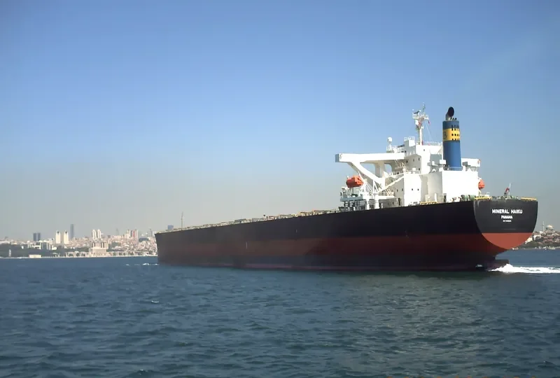 MINERAL HAIKU Bulk Carrier IMO 9489845 photo 8