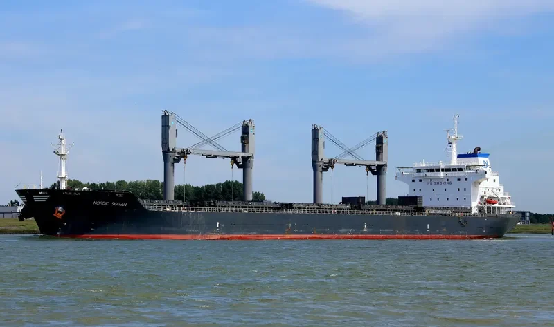 NORDIC SKAGEN Bulk Carrier IMO 9489986 photo 3
