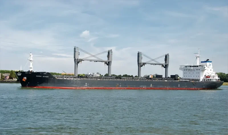 NORDIC SKAGEN Bulk Carrier IMO 9489986 photo 4