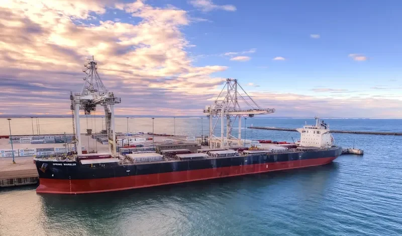 SPRING WARBLER Bulk Carrier IMO 9490117