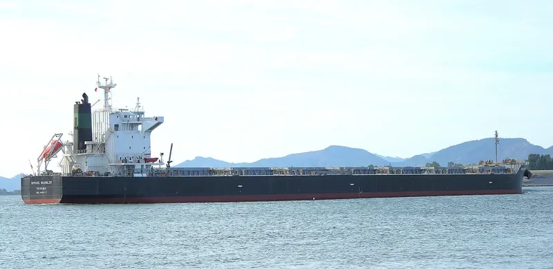 SPRING WARBLER Bulk Carrier IMO 9490117 photo 3