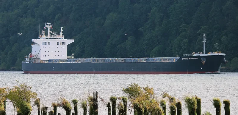 SPRING WARBLER Bulk Carrier IMO 9490117 photo 5